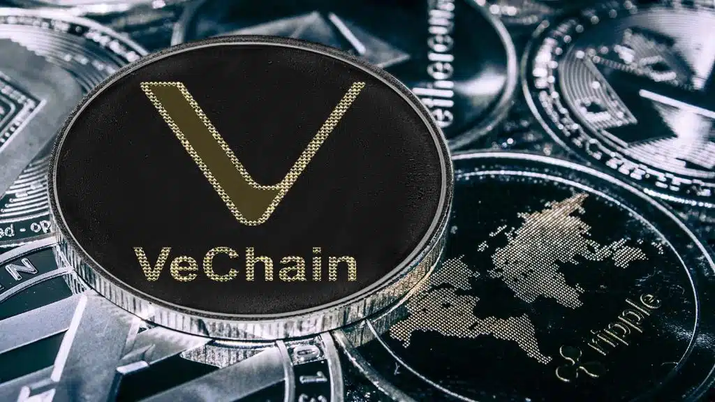 Vet crypto quel avenir pour le VeChainn